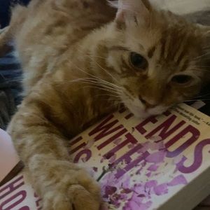 Meet your Posher, Tessa